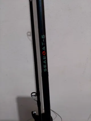 Caña de pescar spinning con carrete