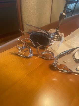 Colección peces de cristal