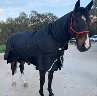 Manta de Exterior 600 D impermeable y con relleno