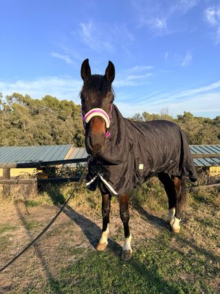 Manta de Exterior 600 D impermeable y con relleno