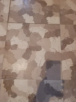 Se regala terrazo con más de 100 años