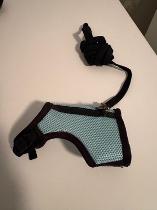 Arnés para hurones y animales pequeños