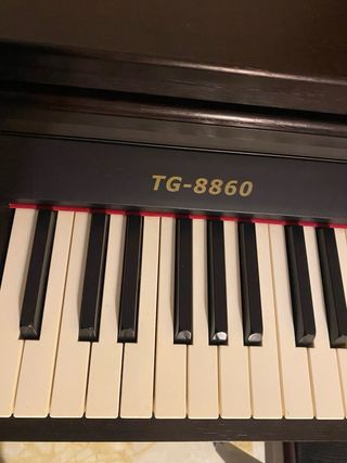 Piano Digital Ringway TG8860  Banco y protecciones