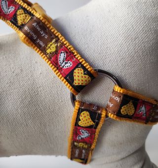 Set guinzaglio e pettorina fantasia cuori