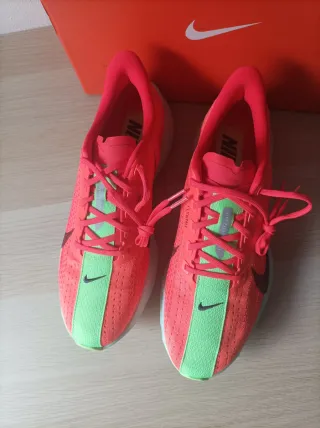 Nike Pegasus Running Hombre Verde/Rojo