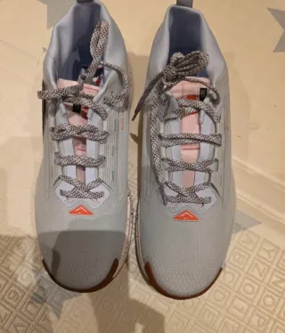 Nike Pegasus Trail 5 Gore-Tex Gris