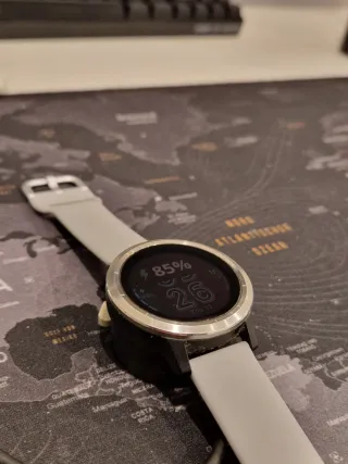 Smartwatch Garmin VIVOACTIVE 3 Gris/Plata