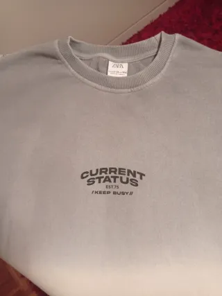 Sudadera Zara niño gris