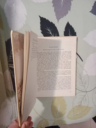 El Lazarillo y El Buscón. Anónimo y Quevedo (1973)