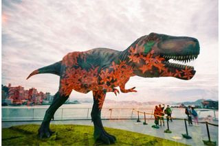 Cámara LomoApparat 21 mm Wide-angle Edición Neubau