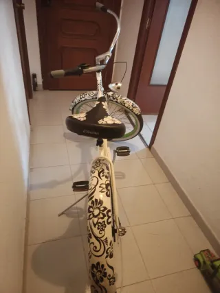 Bicicleta Electra Malibu Edición Limitada