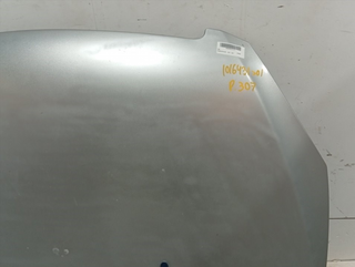 CAPO PEUGEOT 307 (S1)(04.2001)