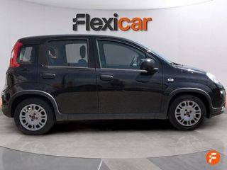 Fiat Panda Panda Hybrid 1.0 51kw (70CV)