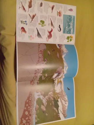 Álbum visual del agua (Spanish Edition)