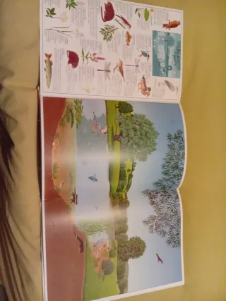 Álbum visual del agua (Spanish Edition)