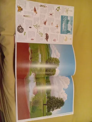 Álbum visual del agua (Spanish Edition)