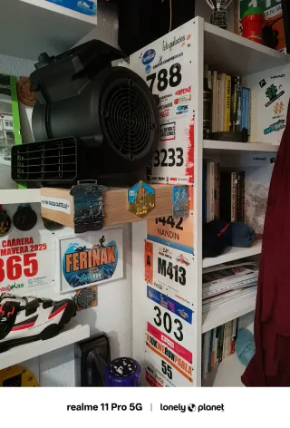 Bici Spinning + Cinta Correr REGALO Ventilador+Alf