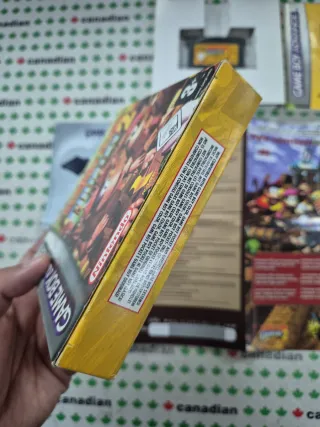 Donkey Kong Country 2 Game Boy Advance