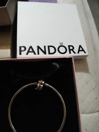 Pulsera Rígida Pandora Plata de Ley