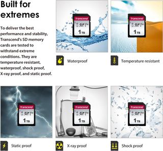 Transcend Highspeed 64GB SDXC Tarjeta de memoria (