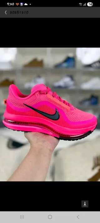 Nike Pegasus Premium