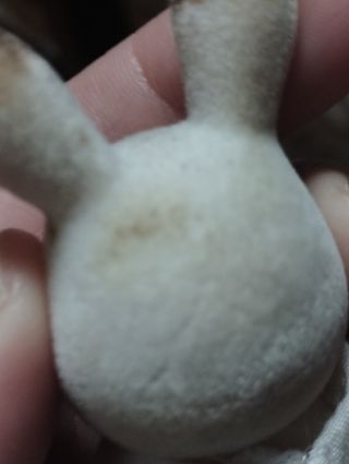 Lote Sylvanian con tara y manchas