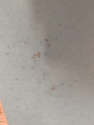 Tabla curva Woobbel de madera