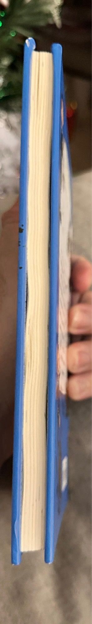 Una yegua llamada Dora (Spanish Edition)