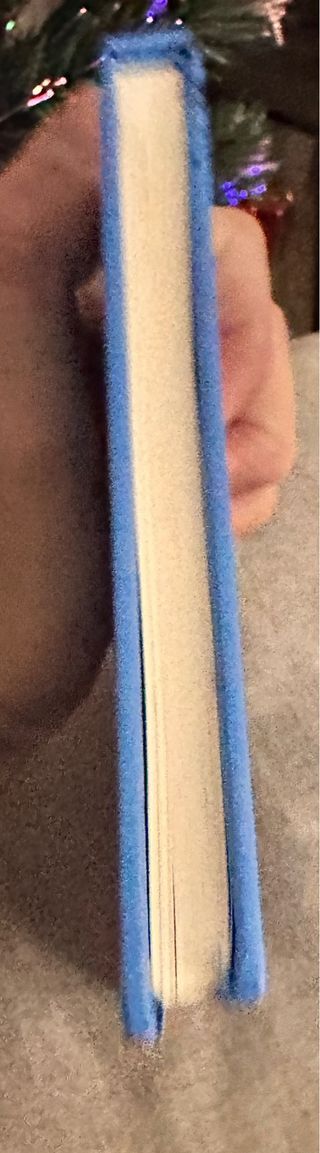 Una yegua llamada Dora (Spanish Edition)