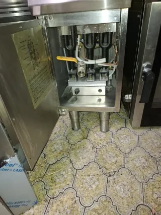 Freidora de gas profesional