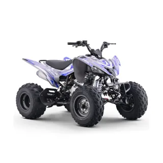 Quad Roan Dakar 250cc Manual
