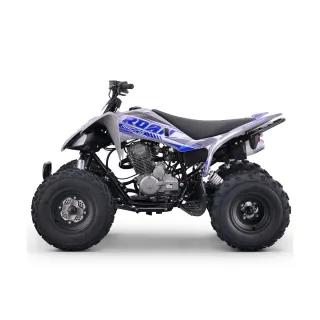 Quad Roan Dakar 250cc Manual