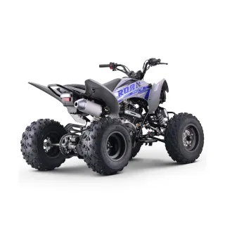 Quad Roan Dakar 250cc Manual