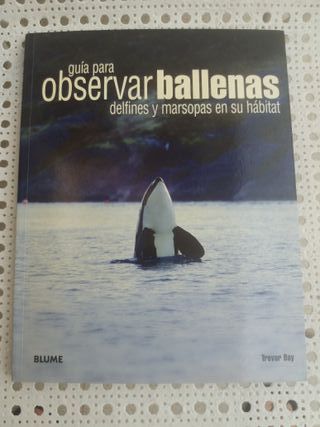 Guía para observar ballenas, delfines y marsopas