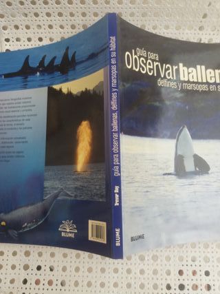 Guía para observar ballenas, delfines y marsopas