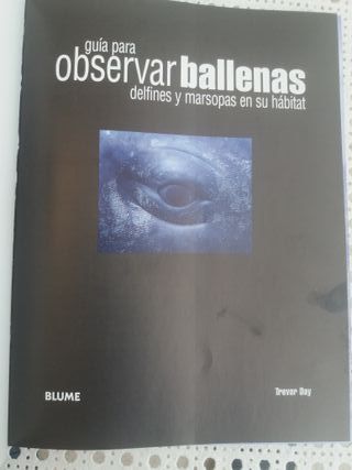 Guía para observar ballenas, delfines y marsopas