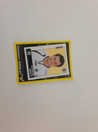 Carte Calciatori Panini 2010-11 e 2006-07
