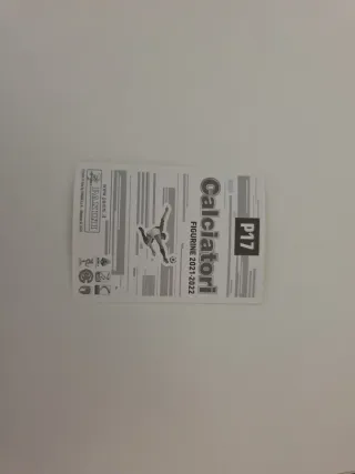 Carte Calciatori Panini 2010-11 e 2006-07