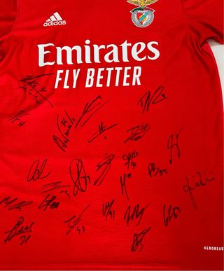 Camisola Benfica Autografada Adidas Tamanho M