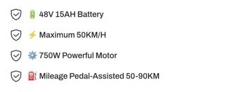 Motor Bicicleta Eléctrica 750W 48V 15Ah