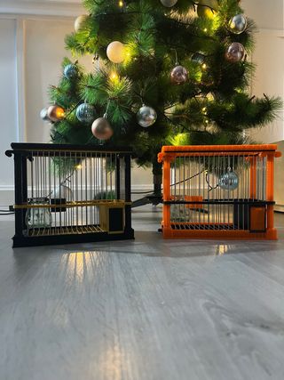 Gabbie per uccelli in stile romano (nere e arancioni)