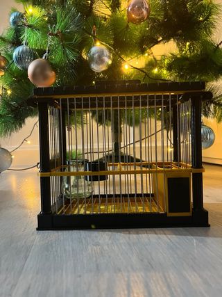 Gabbie per uccelli in stile romano (nere e arancioni)