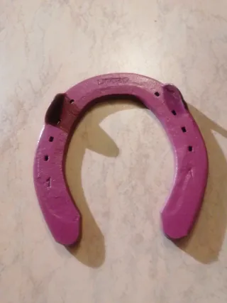 Ferro di cavallo portafortuna viola