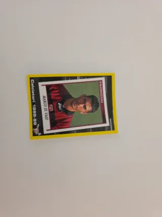 Carte Calciatori Panini Collezionismo