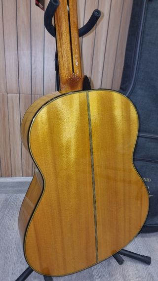 Guitarra Flamenca Tomatito Andalucía