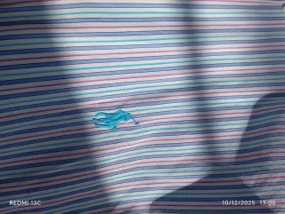 Camisa Ralph Lauren Rayas Multicor Mide de largo 7