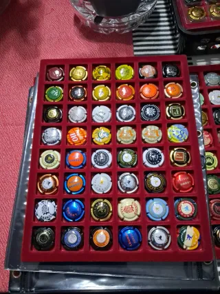 Bandeja Colección Chapas Cava