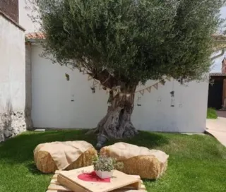 Alpaca/Paca/bala de paja para decoración