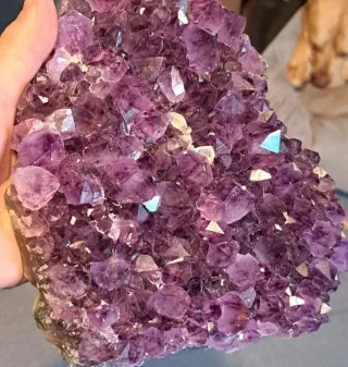 Drusa Ametista Cristalli Grandi