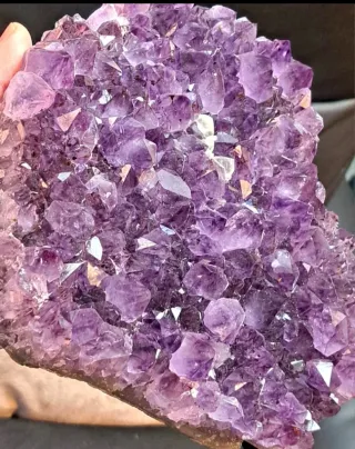 Drusa Ametista Cristalli Grandi
